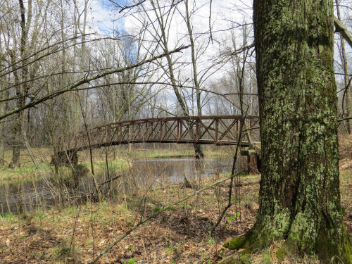 foot bridge over White River