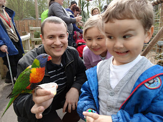 Big Boy looking at a Lorikeet from the corner of his eye