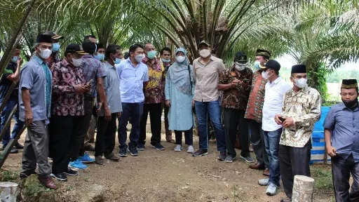 Pesisir Selatan Jadi Daerah Prioritas Peremajaan Sawit Rakyat