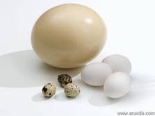 huevos