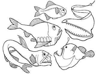 Angler Fish Coloring Pages | @Fresh Color