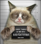 It Was The Grouchiest Of Times, It Was The Grumpiest Of Times (grumpy cat)