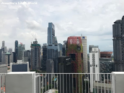 View from Pinnacle Tower, Singapore