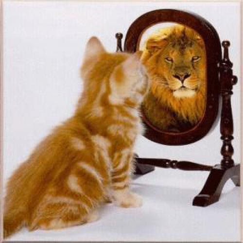 The Magickal Scope Of Influence