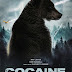 Cocaine Bear: Η αληθινή ιστορία για την αρκούδα που πέθανε από υπερβολική δόση κοκαΐνης 