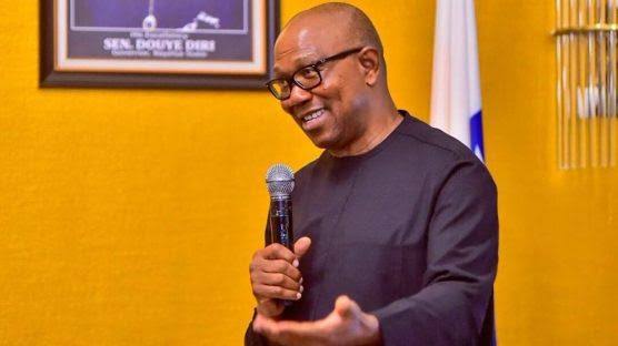 Nigeria's Problems Daunting,  But Solvable, says Peter Obi