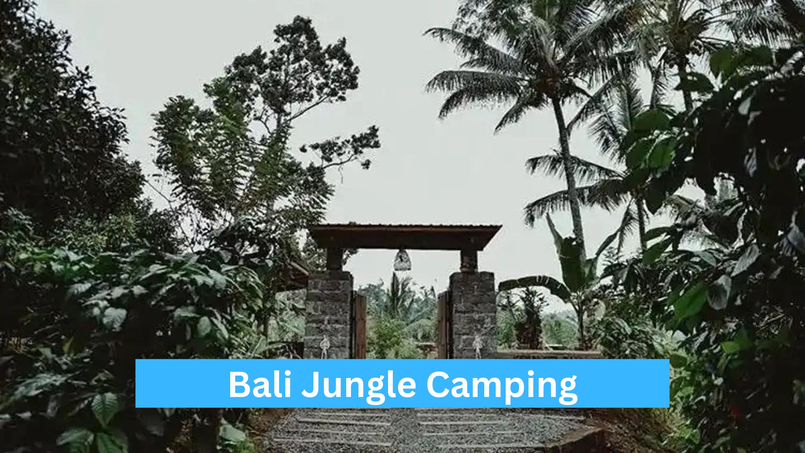 Bali Jungle Camping