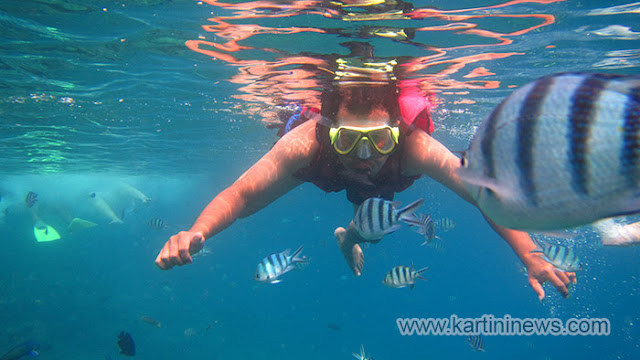 UNESCO menetapkan Karimunjawa Jepara sebagai Cagar Biosfer Dunia