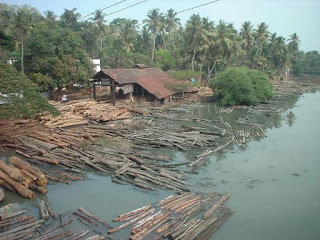 calicut kallai river kozhikode