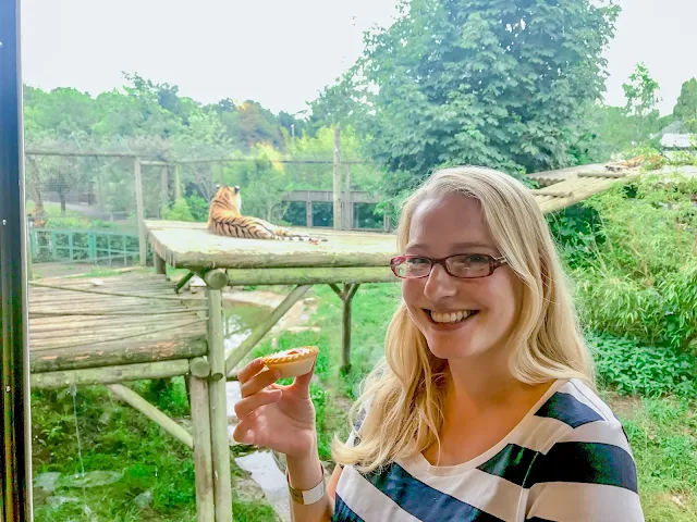 Me standing with a Bakewell Tart in front of a glass window, behind me two tigers are visible