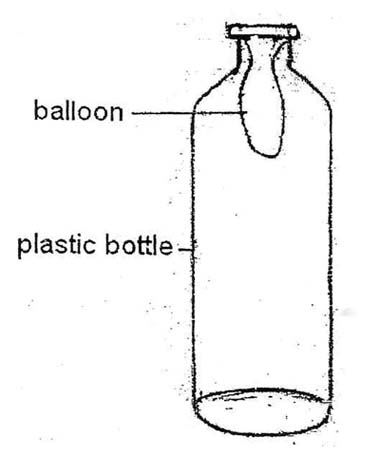 Balloon In A Bottle4