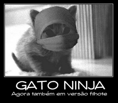 Gatos Ninjas