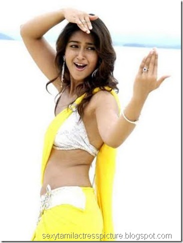 nanban-ileana-hot-side-pose-image