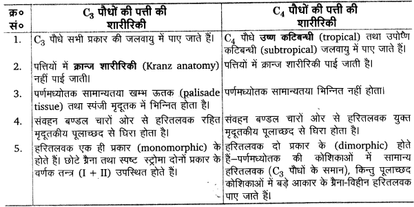 Solutions Class 11 जीव विज्ञान Chapter-13 (उच्च पादपों में प्रकाश-संश्लेषण)