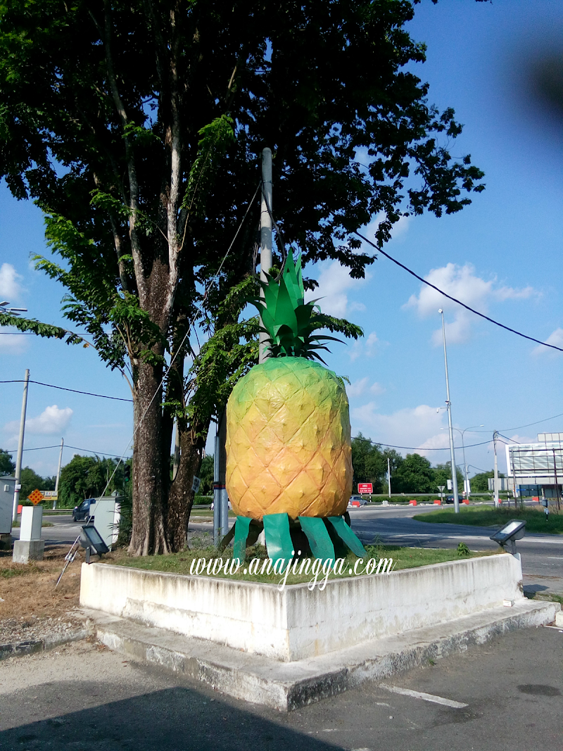 Bazar Nanas di Teluk Intan,Perak