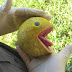 Gross:  Real life Pac-Man