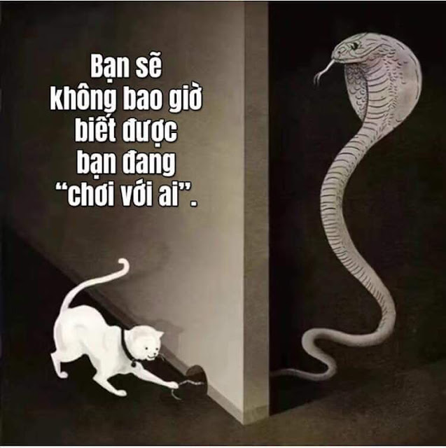 BẠN SẼ KHÔNG BAO GIỜ BIẾT ĐƯỢC BẠN ĐANG "CHƠI VỚI AI" ĐÂU