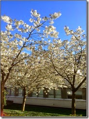 Warwick University  Ipad mini  08-04-2014 08-53-40