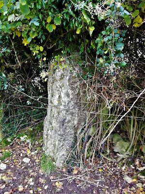 Standing Stone of Clopook, Laois