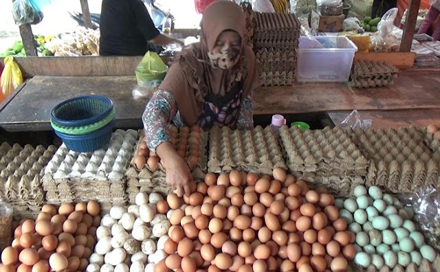 waralaba agen telur - agen telur ayam terdekat - distributor telur ayam - harga telur dari distributor - usaha agen telur - supplier telur