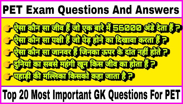 UPTET GK Questions In Hindi 2022 | Frequently Asked GK Questions In Competitive Exam | GK Questions In Hindi |