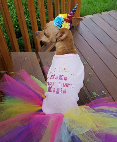 Unicorn Costume for Small and Large Dogs