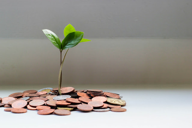 Seedling growing out of a pile of coins (Photo by micheile henderson on Unsplash)