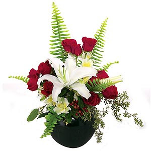 casablanca lily for valentines day