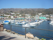 The city of Avalon (Catalina Island) (carnival inspiration )