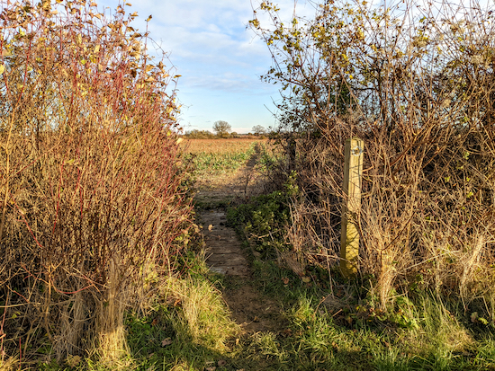 Hunsdon footpath 13 crossing a footbridge