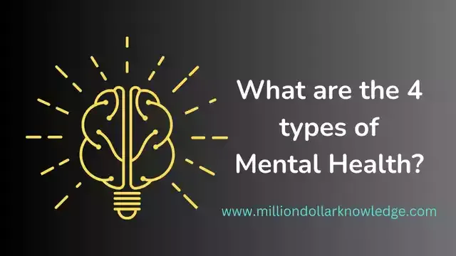 What Are The 4 Types of Mental Health