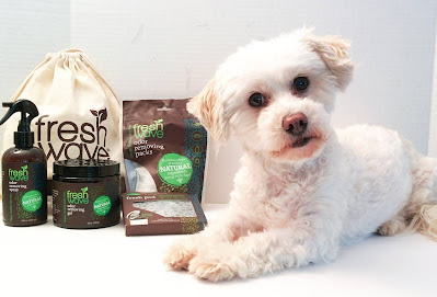 My dog posing in a Fresh Wave product review campaign