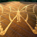 7 Crop Circles Terbesar Di Dunia