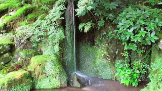 人文研究見聞録：東山慈照寺（銀閣寺） ［京都府］