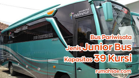 Denah Tempat Duduk Bus Pariwisata Jenis Junior Seat 2-2 Kapasitas 39 dan 41