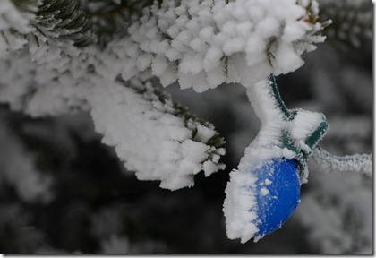 Frost