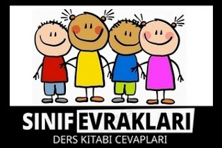 Yerel idare nedir?