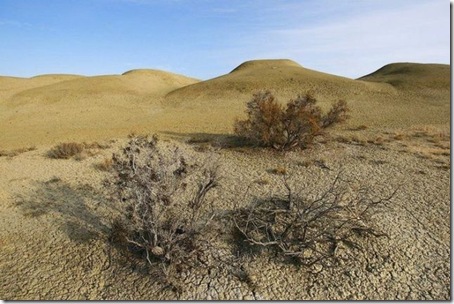 Aral_Sea10