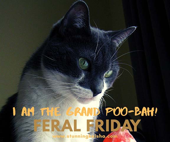 Feral Friday: I Am the Grand POO-bah!
