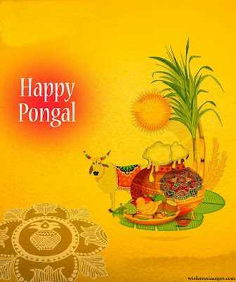 Happy Pongal 2020 Photos