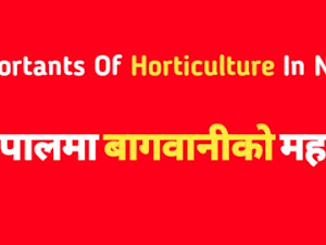 Most Important Factor Of Horticulture In Nepal