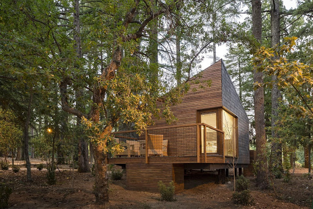 Picture of brown small house between the trees