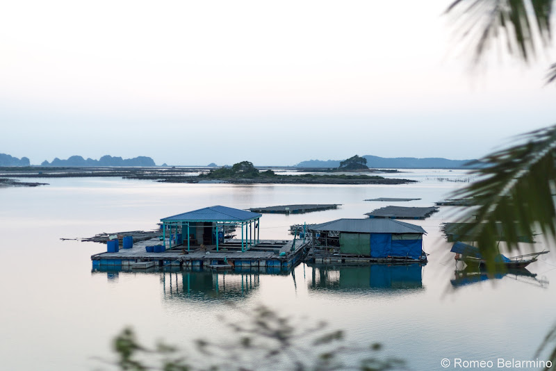 Hanoi Side-Trip to Ha Long Bay in 24 Hours Fish Farm