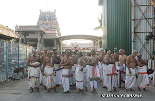 Day 06, Vasanthotsavam,Vaigasi, Purappadu,Video, Divya Prabhandam,Sri Parthasarathy Perumal, Triplicane,Thiruvallikeni,Utsavam,