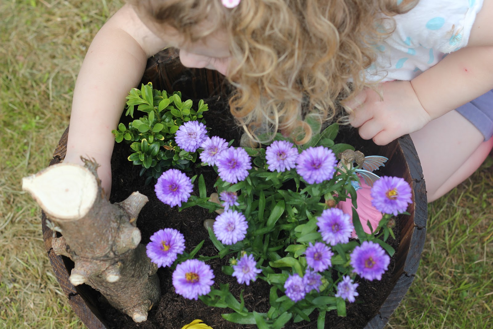 Making a Fairy Garden - The Imagination Tree