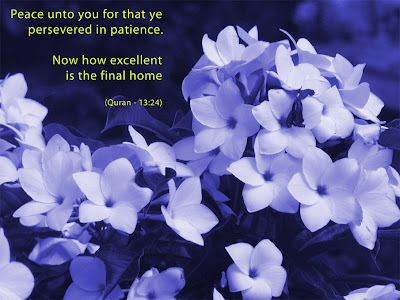 wallpaper purple flower. Quran 13:24 Purple Flower