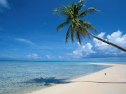 Poem of the Day: Celest and the Beach Patron (beach palm tree white sand cape wallpaper)