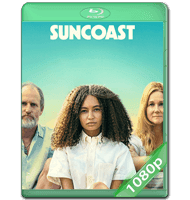 SUNCOAST (2024) WEB-DL 1080P HD MKV ESPAÑOL LATINO