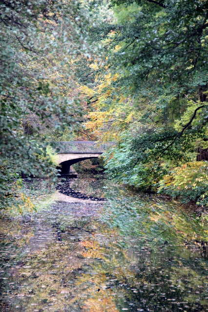 Autumn colours. Foliage. Bridge