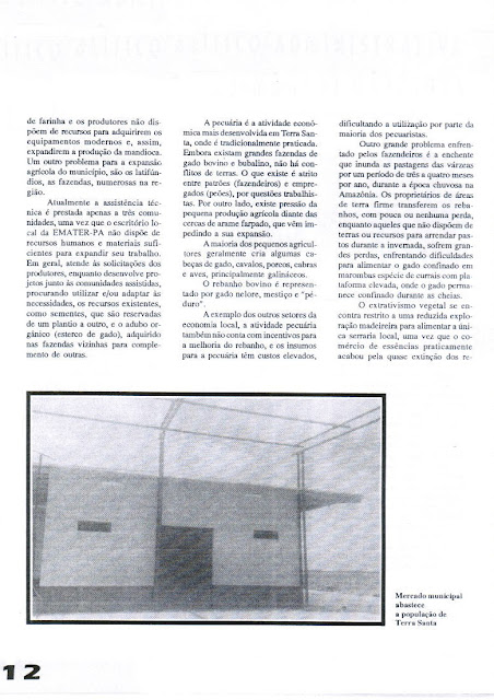 REVISTA NOVOS MUNICÍPIOS PARAENSES - MUNICÍPIO DE TERRA SANTA – 1993